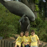 Zoo Visit
