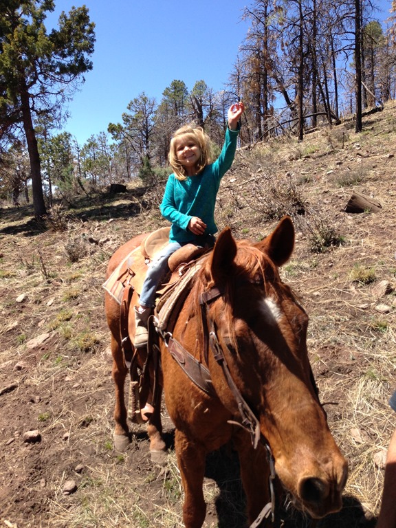 [iphone-stray-horse-0421.jpg]