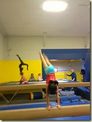 IMG_2232 IMG_2232