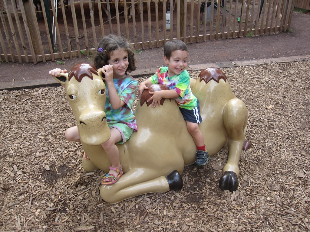 [Picture%2520140%255B3%255D.jpg]