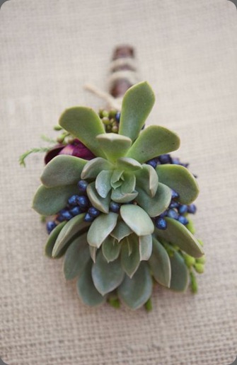 4 heavenly blooms and sweet and saucy 4 heavenly blooms and sweet and saucy