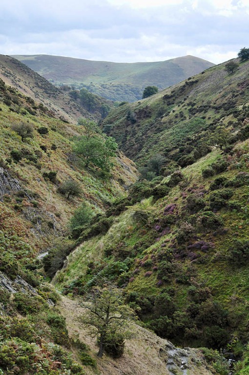 [Interlocking%2520spurs%255B3%255D.jpg]