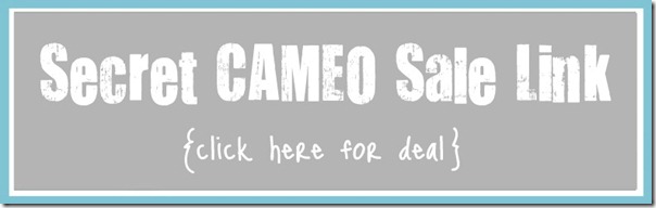black friday sale everything