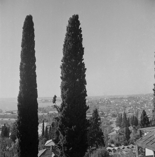 clip_image042 clip_image042