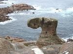 2006-03-20 005.JPG