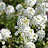 DSC_0509.jpg