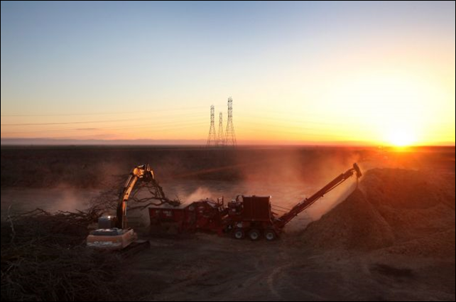 An almond tree is lifted into a wood chipper after farmer Barry Baker decided to sacrifice 1,000 acres of trees to save water in Firebaugh (Fresno County). Photo: Leah Millis / The SF Chronicle