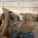 DSCN4924.jpg