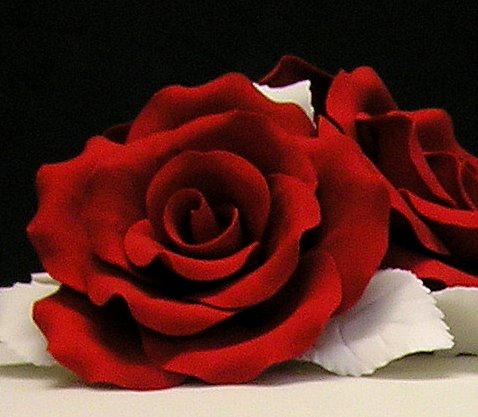 singletierredroseweddingcakejpg jpg 478x417 red rose wedding cake 