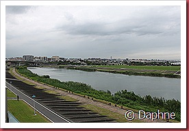IMG_2350 IMG_2350