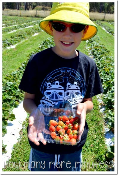 Shepparton: Belstack Strawberry Farm ~ How Many More Minutes?