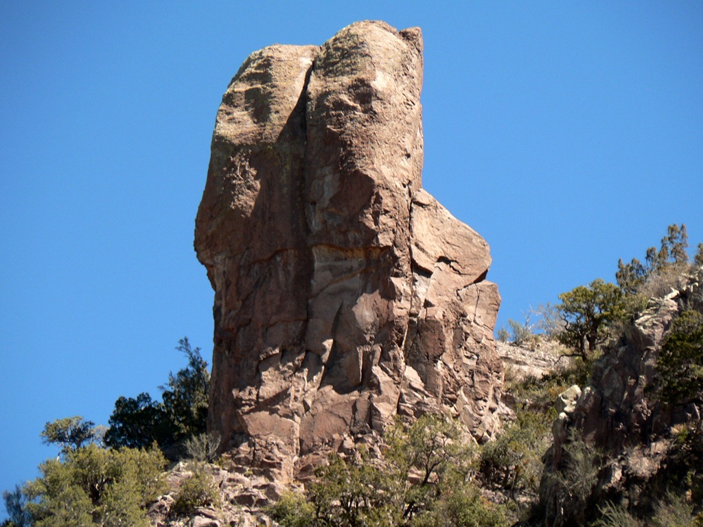 [6---Mogollon24.jpg]