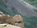colorado