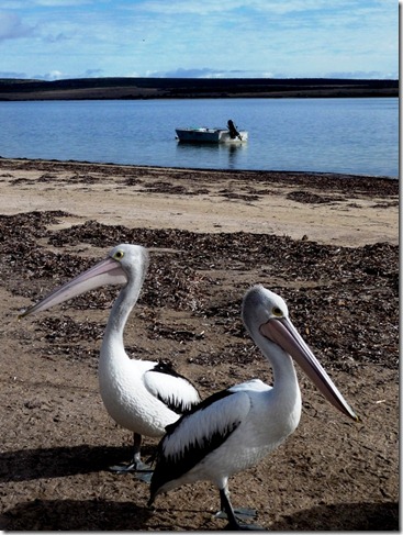 Baird Bay