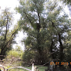 DSCN9683.JPG