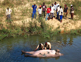 South Africa - 220.JPG