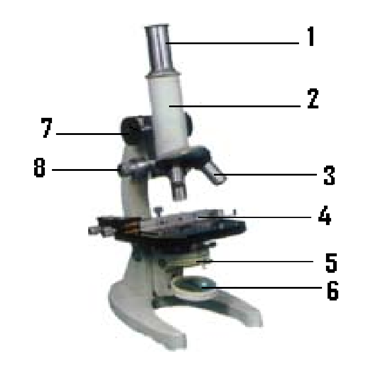  Gambar mikroskop 