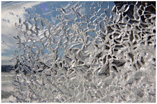 [563651_154708561319285_1754341118_n%255B3%255D.jpg]