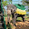 ELEFANT SRI LANKA