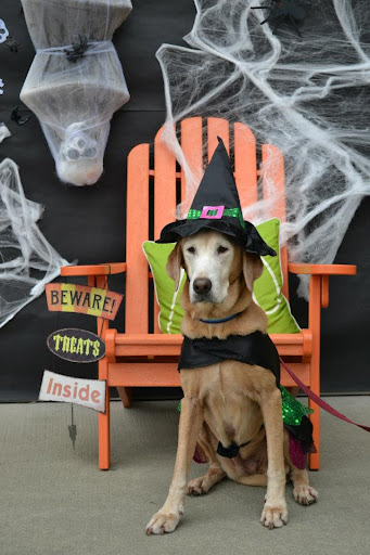 Witchy Woofer! Witchy Woofer!