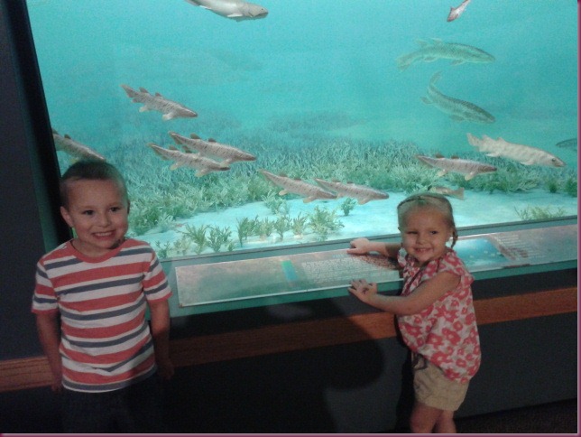 2012-07-19 10.40.38 2012-07-19 10.40.38