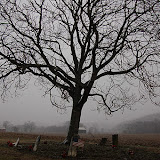 "Indiana Cemetary" - copyright David J. Thompson