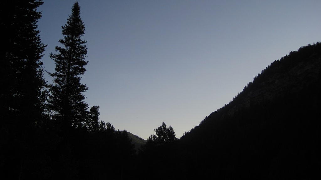 [IMG_4333.jpg]