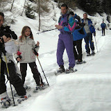 16.02.10 Schneeschuhwanderung Wollbachalm - malga Wollbach