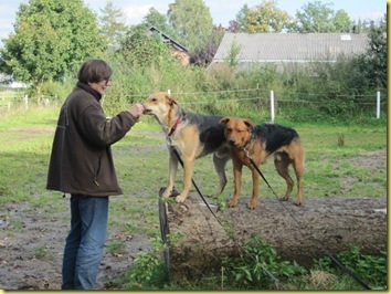 IMG_0919 IMG_0919
