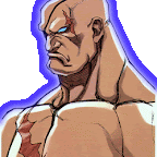 sagat-ex12.gif
