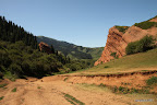 Red and green landscape