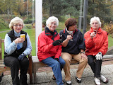  Wildwedstrijd 2010