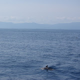 ChichimeCays ChichimeCays