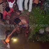 crocodile at nayathode 5.JPG