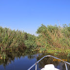 IMG_5696.JPG