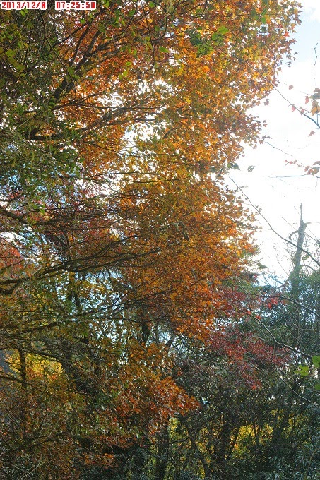 2013_1208_072559 2013_1208_072559