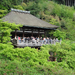 lots of tourists at kiyomizu in Kyoto, Japan 