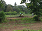 Riding into Moshi - locals walking along railroad tracks.