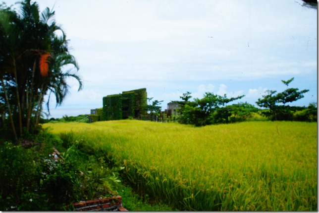 DSC05350 DSC05350