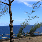 IMG_2908.JPG