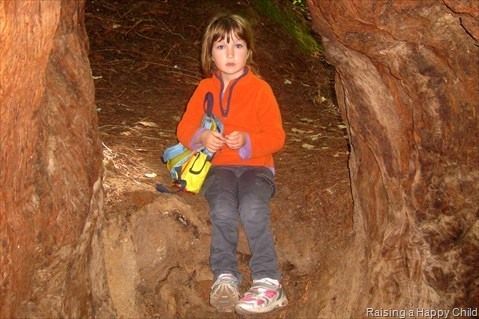 [Apr28_BigBasin%255B3%255D.jpg]