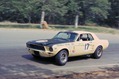 Shelby-Caroll-43
