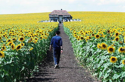 фільми з Україною