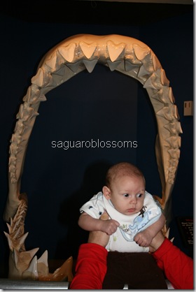 IMG_7526 IMG_7526