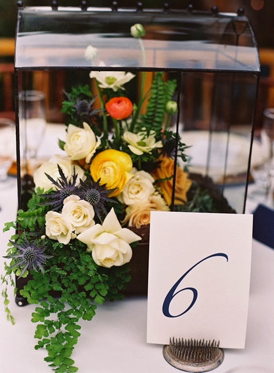 [Brit17--jill-thomas-photo-and-art-wi.jpg]