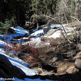 Resquício de neve na trilha -  Sequoia e Kings Canyon NP, California. EUA