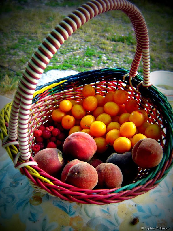 wwoof italy 2