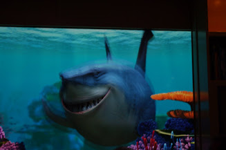 Bruce swims by