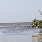 IMG_5664.JPG