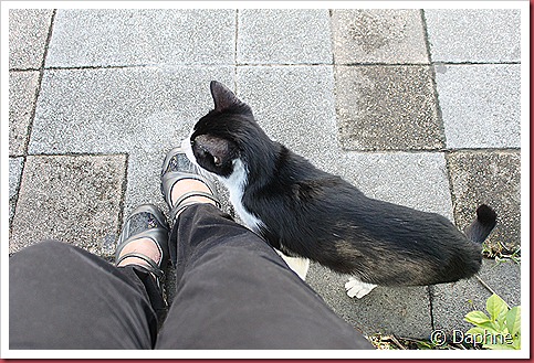 IMG_1466 IMG_1466